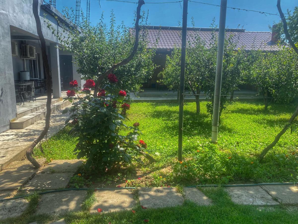 Appartamento Raven Comstar Corbu  Esterno foto