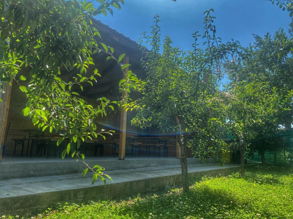 Appartamento Raven Comstar Corbu  Esterno foto